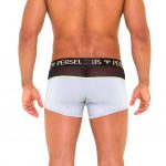 Perseus_Underwear_Thebes_Trunk_Gray_Back