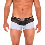 Perseus_Underwear_Thebes_Trunk_Gray_Front