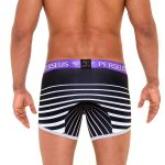 Perseus_Underwear_Thebes_Boxer_BlWhi_Back